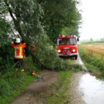 4. August 2020 – Baum auf Fahrbahn, Höhe Berg