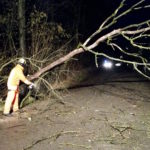 11. Februar 2020 – Mehrere umgestürzte Bäume in Bachmehring