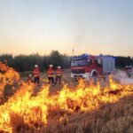 14. August 2025 – Feuerwehren trainierten zusammen die Flächenbrand-Bekämpfung