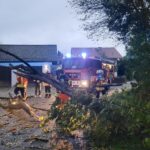 4. Oktober 2025 – Umgestürzter Baum in der Obermüllerstraße, Bachmehring