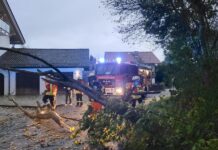 4. Oktober 2025 – Umgestürzter Baum in der Obermüllerstraße, Bachmehring